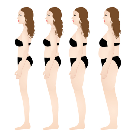 slim to fat women steps vector illustrationのイラスト素材