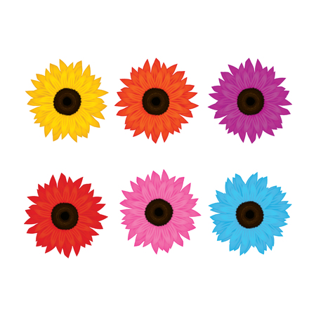 gerbera flower vector illustrationのイラスト素材
