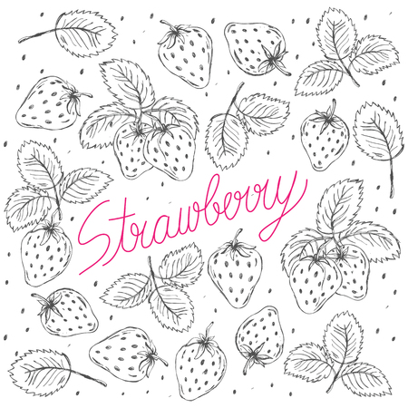 Strawberry hand drawn vector illustrationのイラスト素材