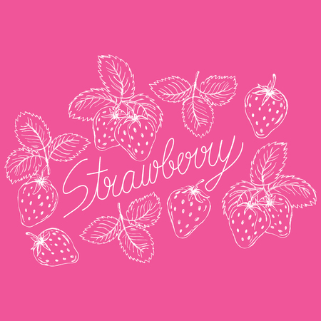 Strawberry hand drawn vector illustrationのイラスト素材