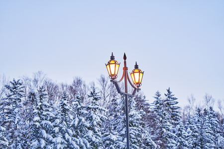 Winter landscape snow covered hill and sunset on December at Biei, Hokkaido, Japanの写真素材