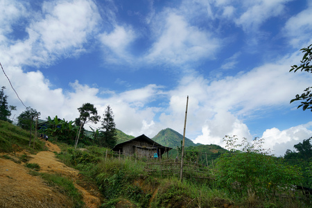 Vietnam Sapa highland terraceのeditorial素材