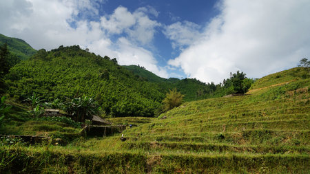 Vietnam Sapa highland terraceの写真素材