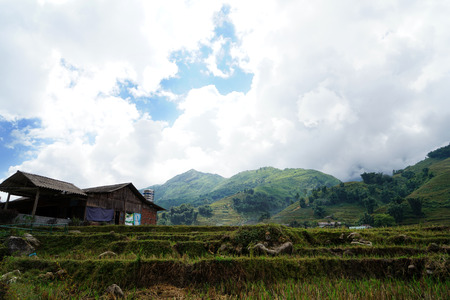 Vietnam Sapa highland terraceのeditorial素材