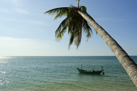 Boat on the Water under a Palm Treeの写真素材