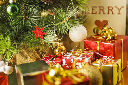Under the Christmas Tree
