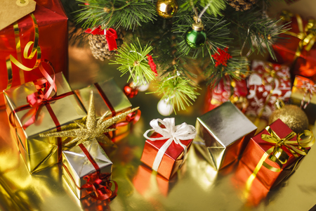 Under the Christmas Treeの写真素材