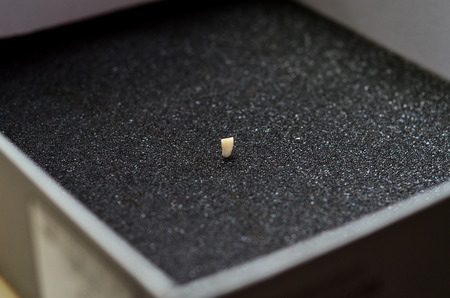 A toothの写真素材