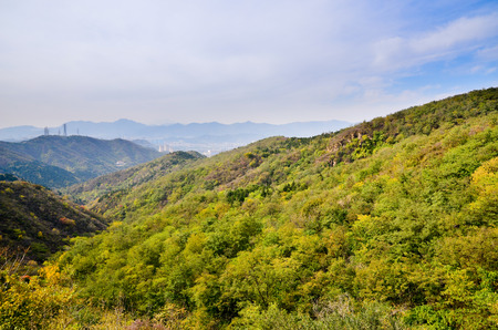 natural scenery during autumnの写真素材