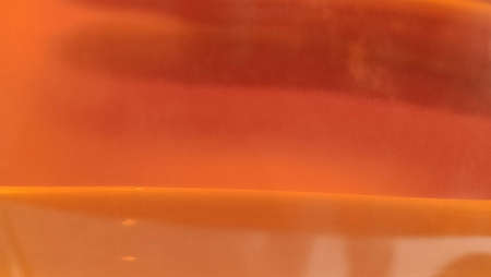 Blue sky and palm trees and tea in orange colorの写真素材