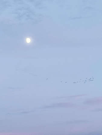 Barcelona Spain, panoramic city life viewsの写真素材