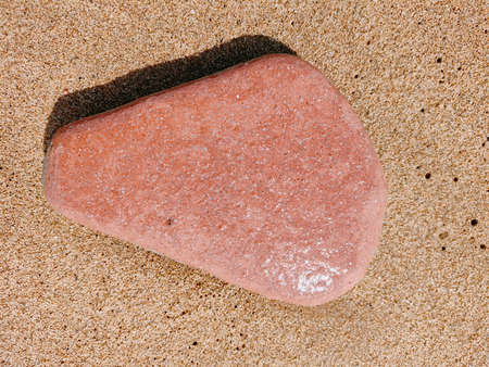 Barcelona inspired city and sea panoramic views and flowersの写真素材