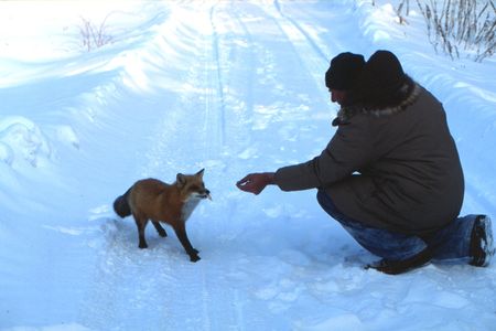 feeding the hungryの写真素材