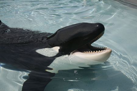 ready for some fishの写真素材