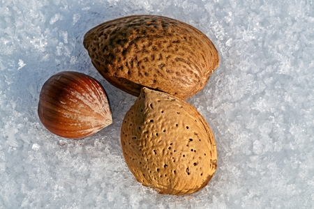 Hazelnuts, Almonds nuts isolated on snow background.
