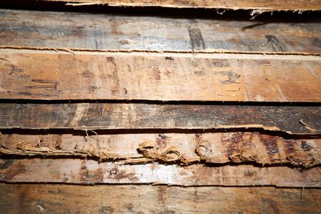 Brown wood texture. Abstract wood texture backgroundの写真素材