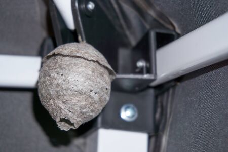 Large wasp hornet nest under eaves of a home.の写真素材