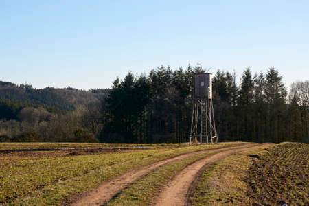 High seat for hunters for wildlife observation.の写真素材