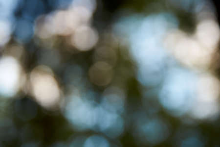 bokeh out of focus background from nature forest.の写真素材