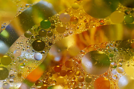 floating in the water abstract colorful oil drops