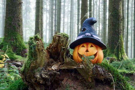 Photo of a halloween pumpkin in the forest with fog on a dayの写真素材