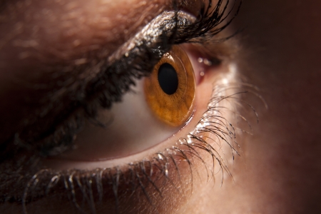Close up of beautiful woman`s open brown eye peeping in darknessの写真素材