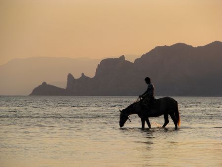 Thirsty horse.	 Horseman in the sea. Drinking hors in the evening.の写真素材