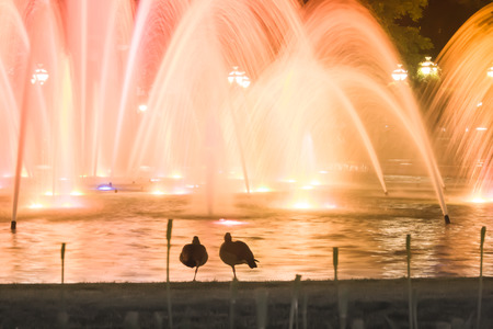 Mannheimの写真素材