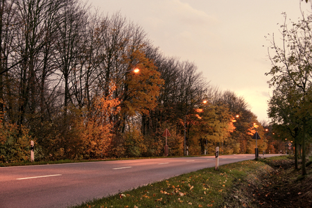 Country roadの写真素材