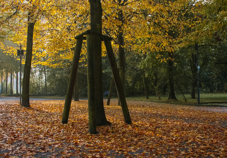 Autumnの写真素材