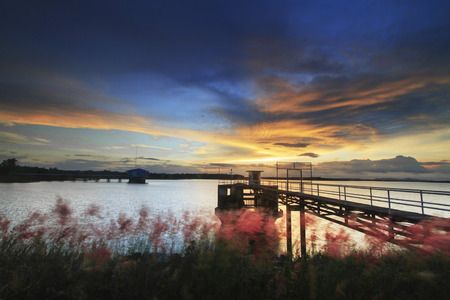 nature of thailandの写真素材