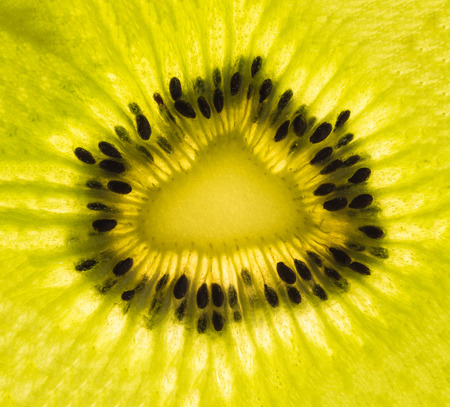 Close up of a slice of Kiwi fruitの写真素材