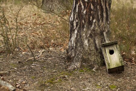 Destroyed bird feeder in the forestの写真素材