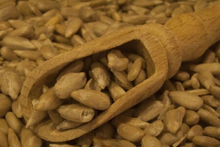 Shelled sunflower seeds as an addition to many dishes. Perfect for salads, breads and other baked goods, as well as a source of healthy oil.の写真素材
