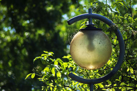 An old ball-shaped street lamp. In the background, the perfectly blue sky and the green surrounding park.の写真素材