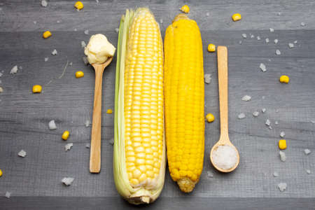 Two cobs of fresh and cooked sweet corn lying on a gray table surrounded by salt and butter on a wooden spoon.の写真素材
