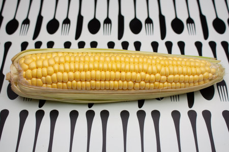 A cob of fresh sweet corn lying on a kitchen mat with cutlery patterns.の写真素材