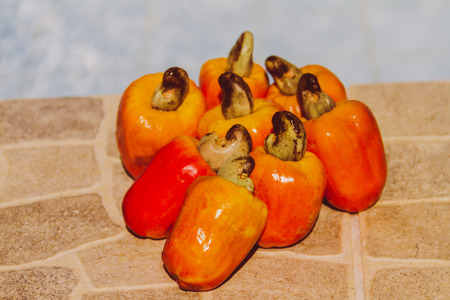 Isolated tropical cashew fruitsの写真素材