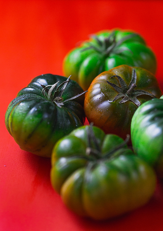 Juicy green tomatoes in a red backgroundの写真素材