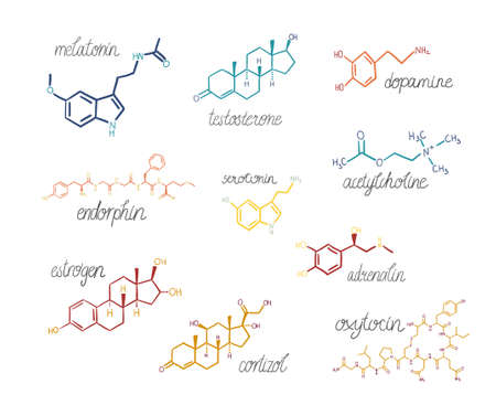 Set of chemical hormones formulas. Hand-drawn doodle colorful illustrations with inscriptions. Symbols for biology, chemistry, naturopathy, medicine. Isolated on white.のイラスト素材