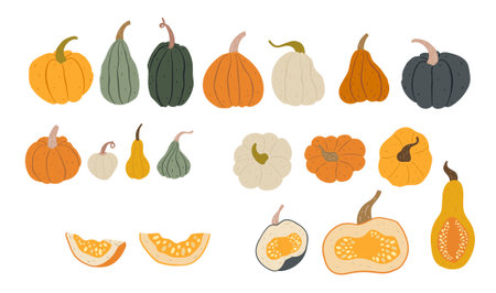 Big set of hand-drawn colorful pumpkins, pieces and parts, view from above. Flat organic style. Pretty and cute autumn and Halloween decorations. Isolated on white background.のイラスト素材