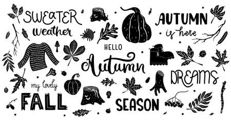 Set of black and white illustrations with autumn essential items - pumpkin, fallen leaves, sweater, boots, hand-drawn texts. Vector drawings isolated on white background.のイラスト素材