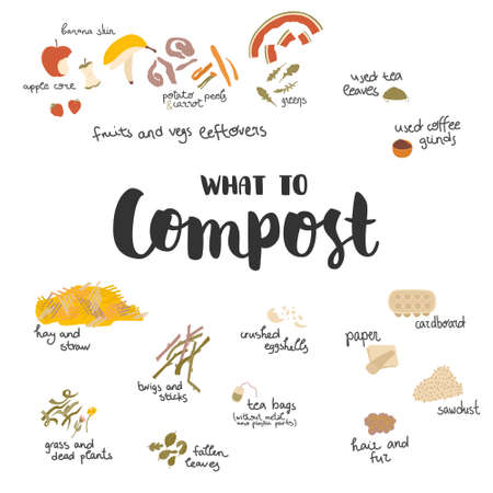 Set of items for composting. All things that can be composted with hand drawn texts. Flat vector.のイラスト素材