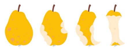 Illustration of a pear, bitten pear, pear core. Cute flat vector illustration in nice colors. Isolated on white.のイラスト素材