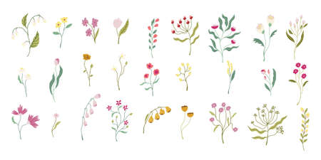 Set of branches with flowers and leaves. Modern style flat organic illustrations. For decorations, patterns, compositions, etc. Vector isolated on white background.のイラスト素材