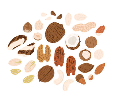 Set of hand-drawn colorful flat nuts illustrations. Nuts in shells. Vector drawings isolated on white background.のイラスト素材