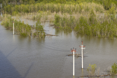 Flooded banks on the river Obの写真素材