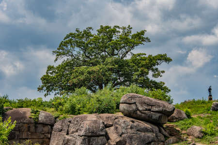 Witness Tree On Devils Den On A Hot and Stormy Summer Dayの写真素材