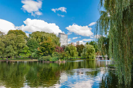 Bostons Public Gardens on a Late Summer Afternoonの写真素材