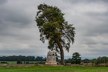 Storm Damaged Tree at Gettysburg Battlefield, pennsylvania, USAの写真素材